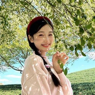 白莲花